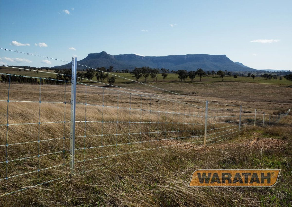 Stocklock 6/70/45 200m Waratah