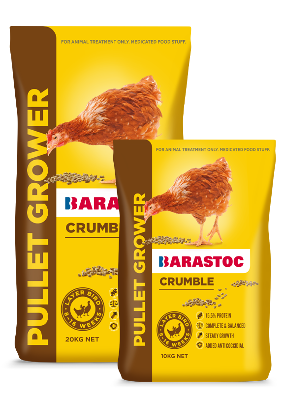 Pullet Grower Per Kg
