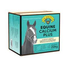 Olssons Equine Calcium Plus Block 20kg