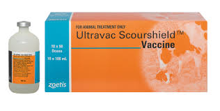 Ultravac Scourshield 100ml Zoetis **