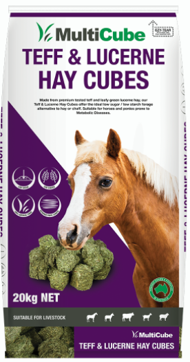 Multicube Teff & Lucerne Hay Cubes 20kg