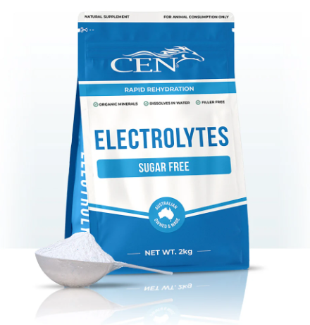 Cen Complete Electrolyte 2kg