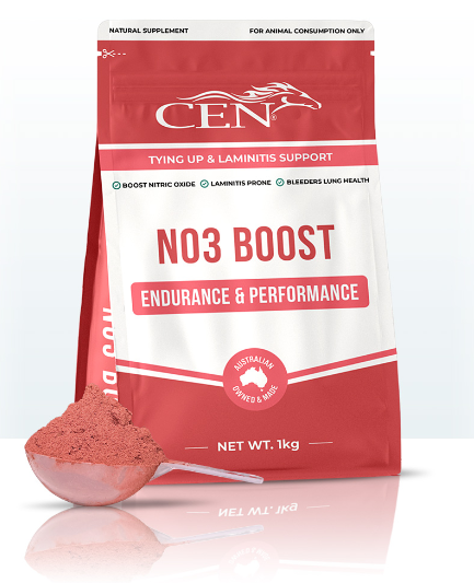 Cen No3 Boost 1kg