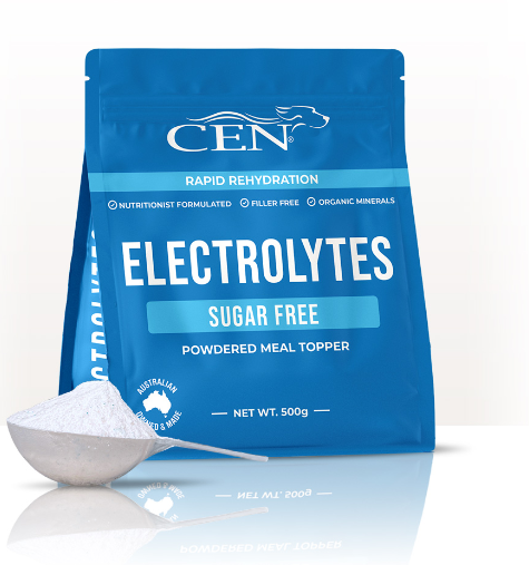 Cen Dog Electrolytes 500g