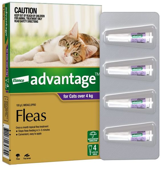 Advantage Cat 4kg+ Lrg 4's