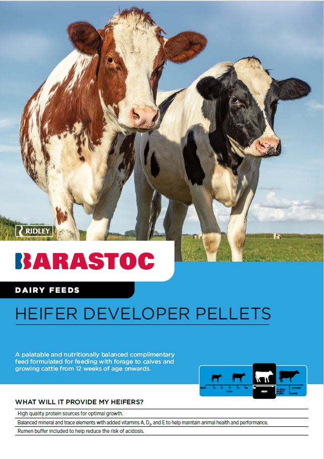 Heifer Developer Pellets 20kg Ridley