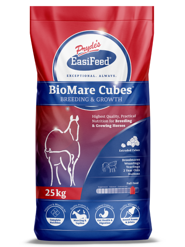 Prydes Bio Mare Cubes 20kg