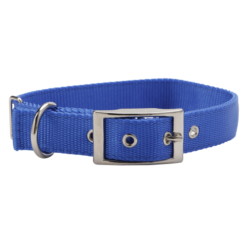 Dog Collar 25mm X 550mm Blue Dog100211