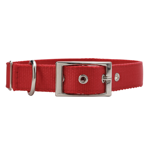 Dog Collar 25mm X 550mm Red Dog100210