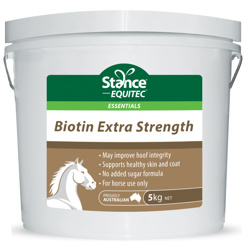 Stance Equitec Botin 5kg