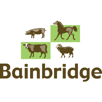 Bainbridge
