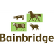 Bainbridge