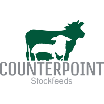 Counterpoint