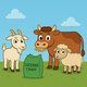 Stockfeeds / Livestock