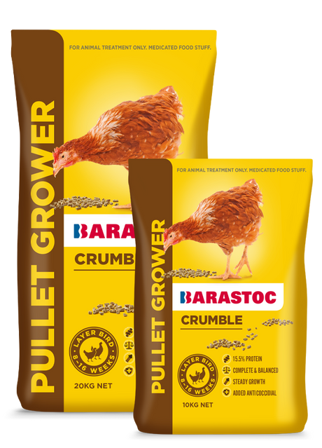 Pullet Grower Per Kg