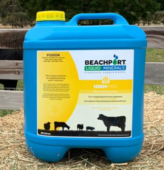Beachport High Mag Yellow Cap