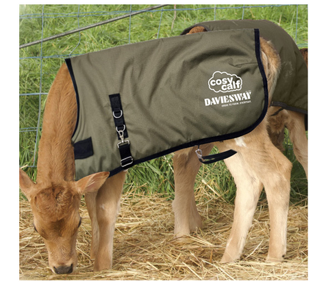 Calf Cosy Coat Medium Green  Dw2530