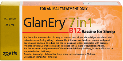 Glanery Sheep 7in1 B12 Zoetis  ** [vol:250 Ml]