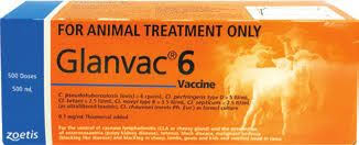 Glanvac 6 Zoetis   ** [vol:500 Ml]