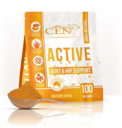 Cen Active Dog 500g