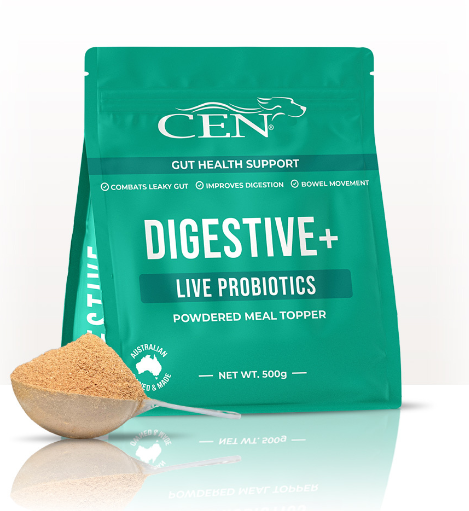 Cen Dog Digestive 300g