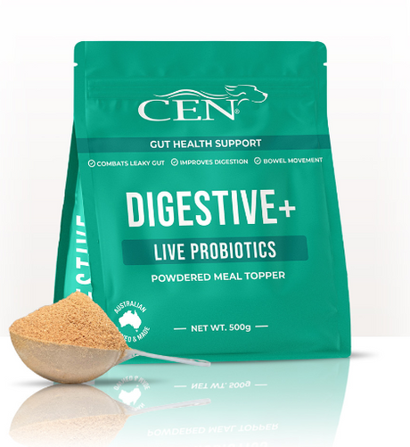 Cen Dog Digestive 300g