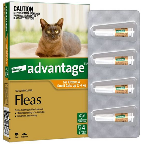 Advantage Cat 0-4kgs Small 4's