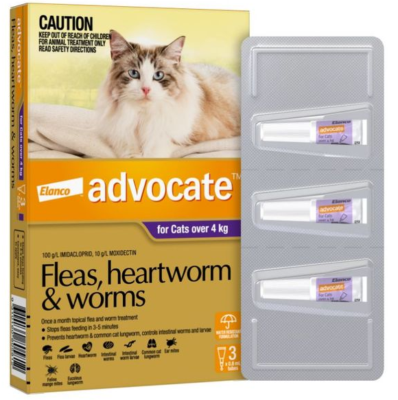 Advocate Cat 4+ Kg Large [pk:3]