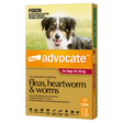 Advocate Dog 10-25kg Large [pk:3]