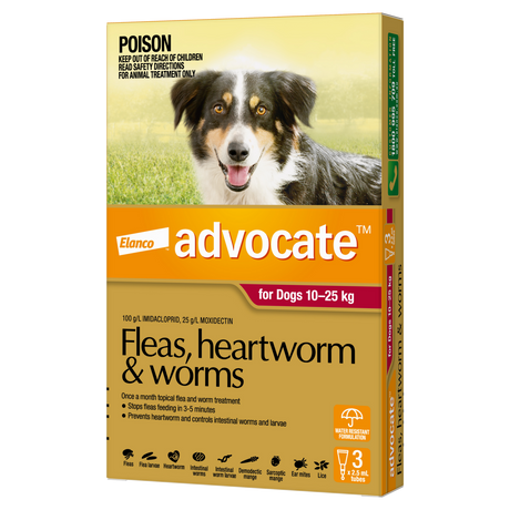 Advocate Dog 10-25kg Large [pk:3]