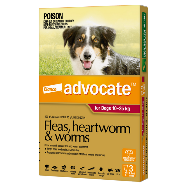 Advocate Dog 10-25kg Large [pk:3]