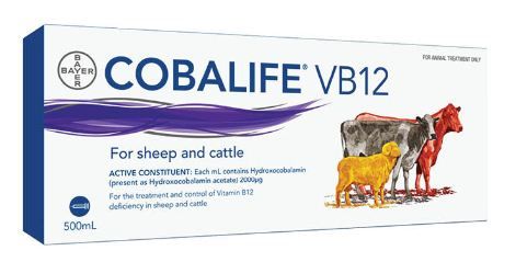 Cobalife Vitamin B12 500ml Elanco **