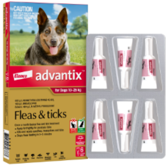 Advantix Dog 10-25kgs Large [pk:6]