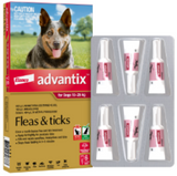 Advantix Dog 10-25kgs Large [pk:6]