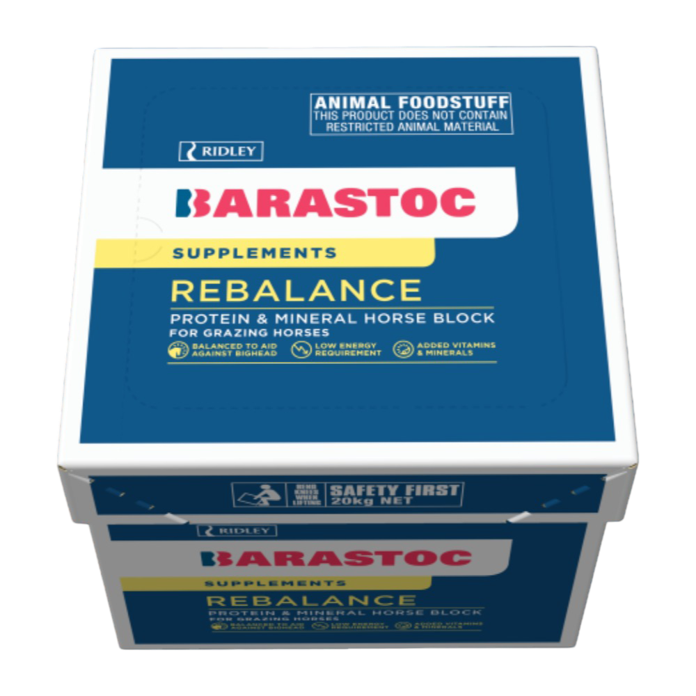 Barastoc Rebalance Horse Block