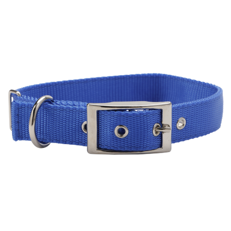 Dog Collar 25mm X 550mm Blue  Dog100211