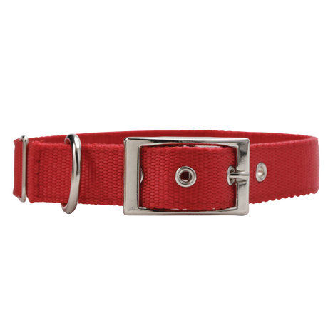 Dog Collar 25mm X 550mm Red  Dog100210