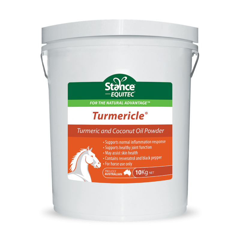 Stance Equitec Turmericle [wt:200 G]