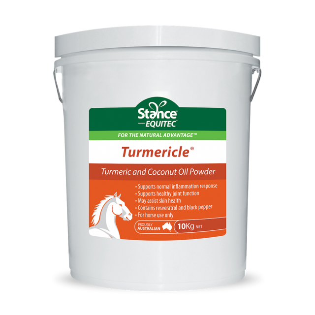 Stance Equitec Turmericle [wt:200 G]