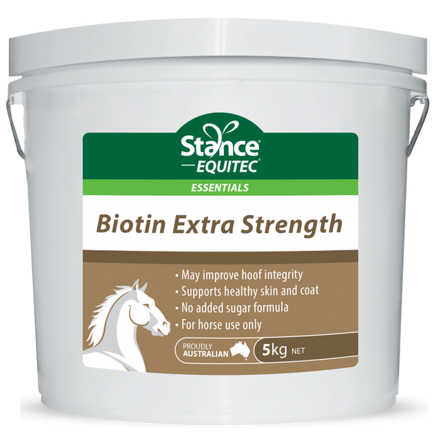 Stance Equitec Botin 5kg