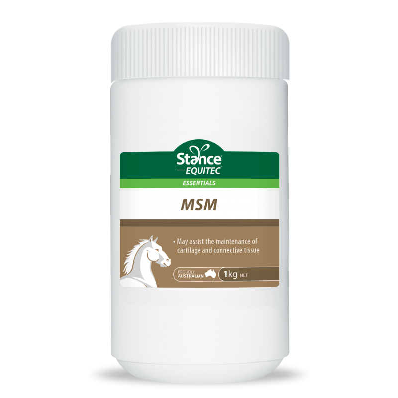 Stance Equitec Msm Powder [wt:1 Kg]