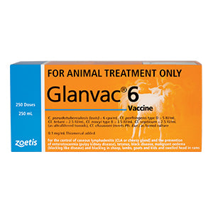 Glanvac 6 Zoetis  ** [vol:100 Ml]