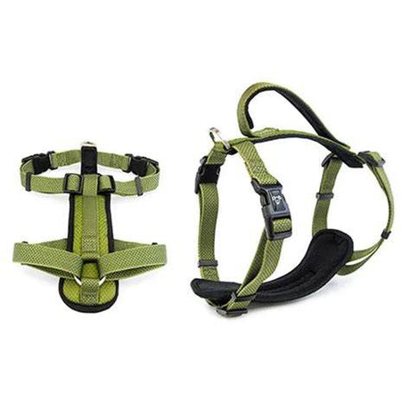 Dog Harness W/safety Handle S Green
